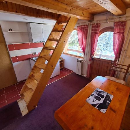 Villa Rustika Τζαχορίνα Εξωτερικό φωτογραφία